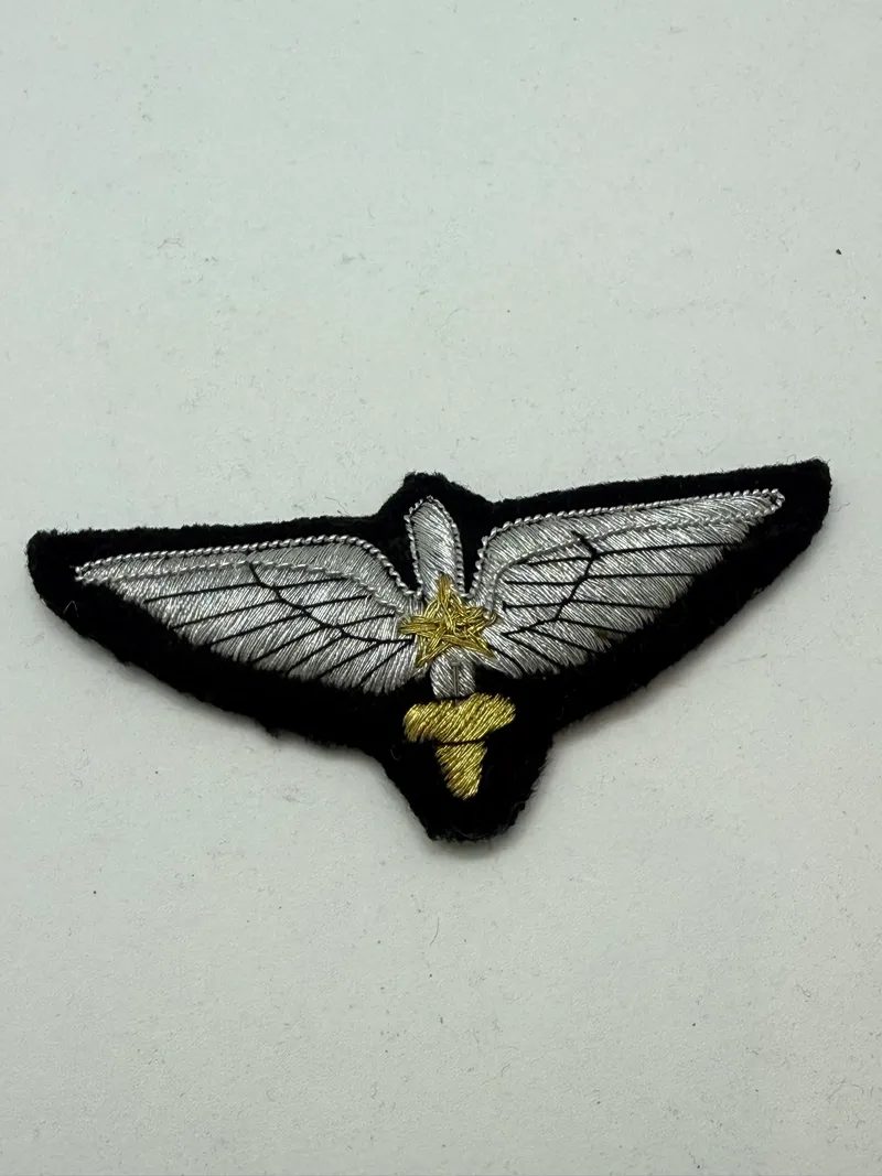 Pakistan pilot vinge. Original