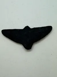 Pakistan pilot vinge. Original