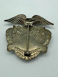 Badge fra Brandmand Thule Air base