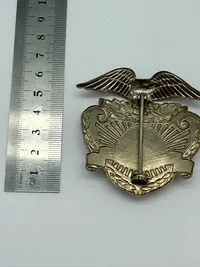 Badge fra Brandmand Thule Air base