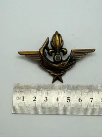 Fransk militær vinge