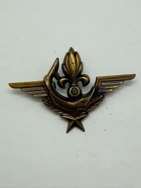 Fransk militær vinge