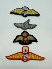 Samling flyvervinger. Originale