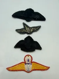 Samling flyvervinger. Originale