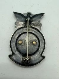 Vietnam War United States Air Force Fire Protection Badge. Original