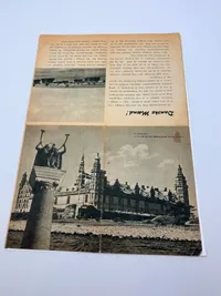 Waffen SS (Dansk) indmeldelses blanket. Original