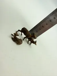 Wiener bronze figur