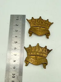 Dronningens livregiment første type