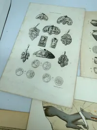 Arkæologiske plancher