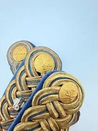 Danske wienerbrød