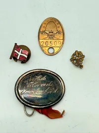 Samling pins mm