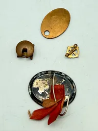 Samling pins mm