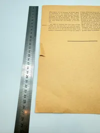 Året 2000 Tysk propaganda på Dansk, original