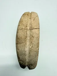 Synkelod