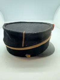 Dansk politi kepi