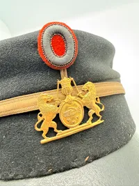 Dansk politi kepi