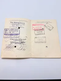 Dansk pas fra 30 erne med mange rejser
