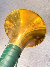 Kolossalt jagthorn