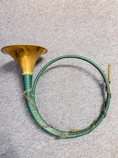 Kolossalt jagthorn