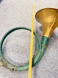 Kolossalt jagthorn