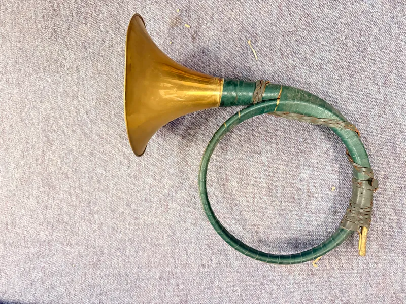 Kolossalt jagthorn