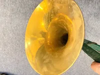 Kolossalt jagthorn