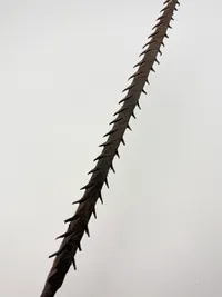 Afrikansk blankvåben med reptilskind