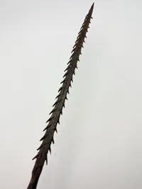 Afrikansk blankvåben med reptilskind