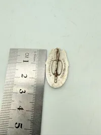 Tysk Hitler Jugend pin 1936 , original