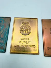 Dansk militær Idræt