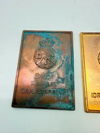 Dansk militær Idræt