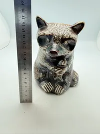 Vaskebjørn
