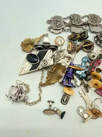 Samling pins mm.