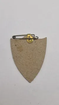 Original tysk pin fra 1933