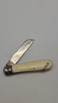 Svane kniv lommekniv