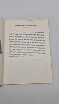 Tysk bog om soldaterkirkegården Bruned