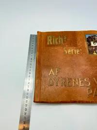 Rich samleralbum