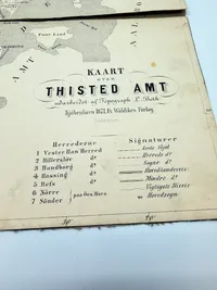 Thisted amt 1871