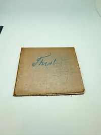 Thisted amt 1871