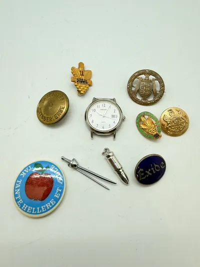 Samling pins, ur mm.