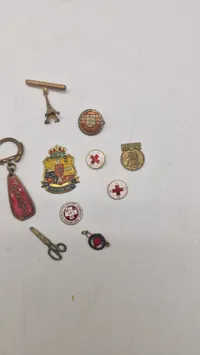 Samling pins mm.
