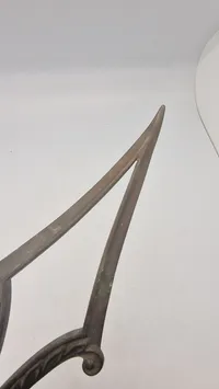 Fanespids