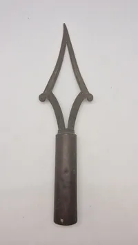 Fanespids