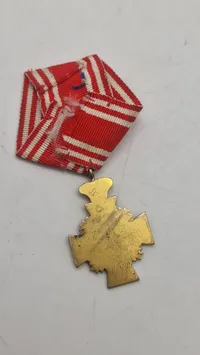 Dansk Christian 9 anciennitets tegn 16 år