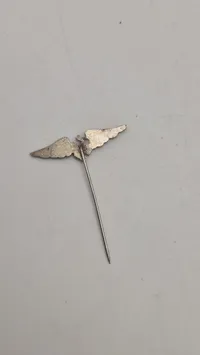 Tysk pin, original ?