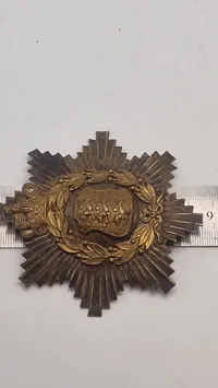 Dansk kepi mærke original