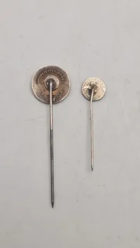 SS pins, originale ??