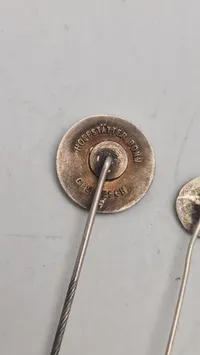 SS pins, originale ??