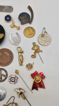 Samling pins 