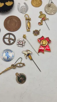 Samling pins 